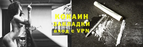хмурый Инсар