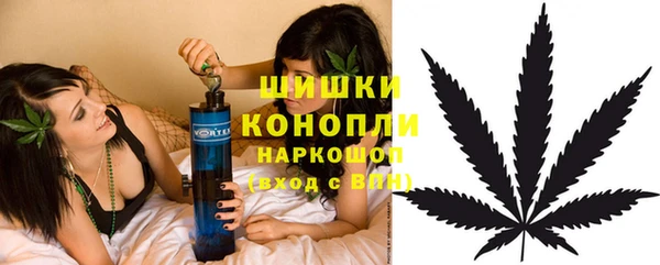 эйфоретик Инта