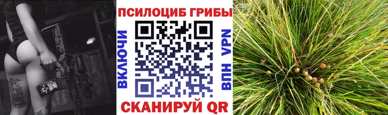 Псилоцибиновые грибы Cubensis  Купить где  Верхний Уфалей 
